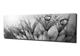 Wallity Lienzo Decorativo PC047 Multicolor 30 x 80 cm